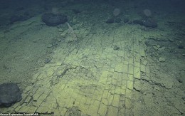 Con đường gạch vàng bí ẩn dưới đáy Thái Bình Dương
