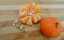 Hạt cam và 8 lợi ích bất ngờ khiến bạn giữ lại nó sau khi ăn