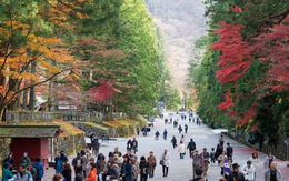 Nhật Bản công bố "du lịch thử nghiệm" có giới hạn từ tháng 5, chuẩn bị mở cửa trở lại
