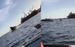 Kinh hoàng khoảnh khắc cá voi lưng gù húc tung thuyền khiến du khách gãy chân