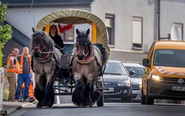 Người phụ nữ Đức chuyển sang đi xe ngựa vì giá xăng cao