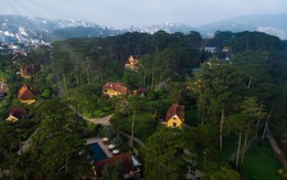Resort 5 sao Đà Lạt được Hà Anh Tuấn và nhiều sao Việt yêu thích: Viên ngọc xanh ẩn giữa rừng thông, kiến trúc nguyên bản từ thời Pháp, giá từ 2-4 triệu đồng/đêm
