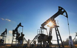 Giải mã nguồn cơn đà tăng cao phi mã của giá xăng dầu toàn cầu đến từ đâu?