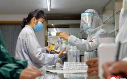 Triều Tiên tuyên bố dịch Covid-19 đã “nằm trong tầm kiểm soát”