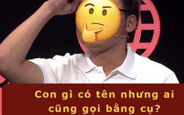 "Con gì ai cũng gọi bằng CỤ?" - Đáp án siêu quen thuộc, 90% người Việt đọc xong đoán được ngay!