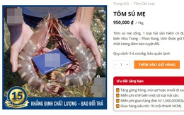 Loại tôm giá 950k/kg, đắt hơn cả tôm hùm được nhiều người "săn lùng" về thưởng thức