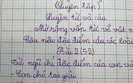 Làm bài tập đặt câu nêu đặc điểm của con vật, bé gái tiểu học khiến dân mạng dở khóc dở cười