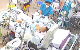 Bé gái 7 tuổi có men gan tăng cao gấp 100 lần do sốt xuất huyết nặng