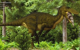 Phát hiện hóa thạch loài khủng long ăn thịt cuối cùng trên Trái Đất