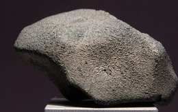 Thành phần DNA và RNA đã xuất hiện đầy đủ trên thiên thạch, các nhà khoa học Nhật khẳng định sự sống tới từ ngoài Trái Đất