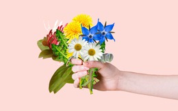 11 loại hoa ăn được có lợi cho sức khỏe: Loại mọc hoang đầy đồng, loại chỉ dùng làm cảnh