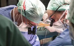 Đột phá trong ghép tạng: Máy “tái sinh” và nuôi gan người ngoài cơ thể nhiều ngày