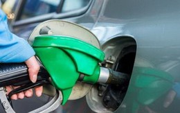Châu Âu nhất trí cấm bán ô tô chạy xăng, dầu từ năm 2035