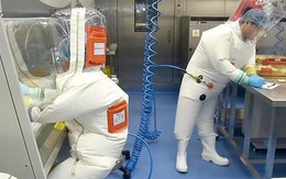 Trung Quốc “phản pháo” gay gắt WHO về điều tra nguồn gốc Covid-19