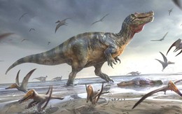 Bất ngờ phát hiện loài khủng long lớn nhất từ trước tới nay của Châu Âu tại một hòn đảo tách biệt của Anh!