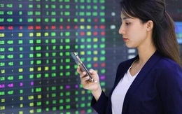 Nhà đầu tư cá nhân mua ròng tuần thứ 3 liên tiếp, tổ chức trong nước nối dài chuỗi bán ròng