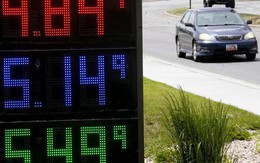 Giá xăng chưa thực sự lập đỉnh?