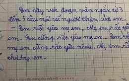 Học sinh tiểu học viết đoạn văn 5 câu về người thân gây tranh cãi: 'Lạc đề' hay xứng đáng 10 điểm?