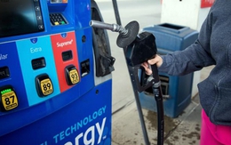 Đại sứ Việt Nam tại Malaysia phản hồi thông tin giá xăng 13.000 đồng/lít