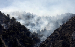 Cháy rừng, lũ lụt, nắng nóng khắc nghiệt - thảm họa khí hậu tàn phá nước Mỹ