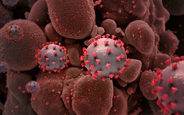 Thay đổi khó tin trong cơ thể nếu mắc Covid-19 trong hoàn cảnh này