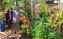 Khu vườn 700m2 với hơn 200 loại hoa quỳnh, lan ở Úc của người đàn ông Việt