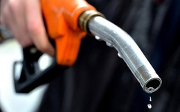 Giá xăng tăng chóng mặt, một công ty tặng thẻ mua xăng miễn phí trị giá 2,3 triệu đồng/tháng cho mỗi nhân viên: "Chúng tôi không thể nhắm mắt làm ngơ"