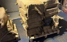 Bỉ bắt giữ 900kg cocaine được giấu trong thùng hàng chứa hạt cacao