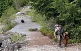 Đi bộ đường dài, gia đình 3 con chạm trán gấu đen và cái kết