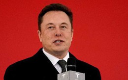 Con ruột tỉ phú Elon Musk đổi tên, “không muốn dính dáng đến cha”