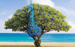 Trắc nghiệm tâm lý: Bạn nhìn thấy cái cây hay con công đầu tiên trong tranh?