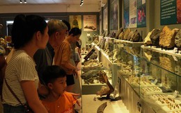 Phiến đá cổ có niên đại ‘khủng’ 2,9 tỷ năm được trưng bày tại Huế