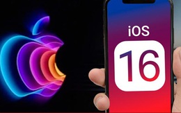 iOS 16 cho phép báo cáo tin nhắn rác tới nhà mạng