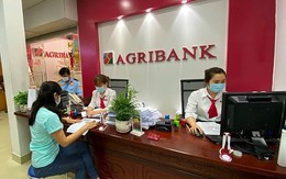 Agribank sắp bán nợ thế chấp bằng 9 lô đất rộng gần 2 ha tại TP Thủ Đức