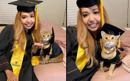 Mèo tích cực tham gia lớp học qua zoom được dự lễ tốt nghiệp đại học