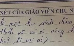Cô giáo để lại lời phê "bá đạo", phụ huynh "cười ra nước mắt" không biết là khen hay chê
