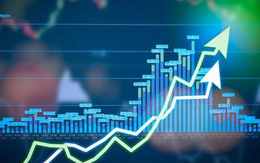 Nhà đầu tư trong nước mở mới gần nửa triệu tài khoản chứng khoán trong tháng 5, gần gấp đôi kỷ lục cũ