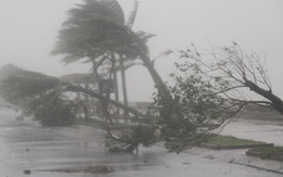 Năm 2022, có bao nhiêu cơn bão ảnh hưởng trực tiếp vào đất liền nước ta?