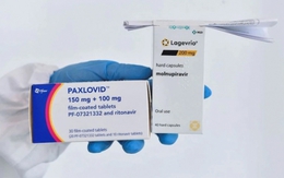 Chuyên gia Australia: Thuốc điều trị Covid-19 có thể ảnh hưởng khả năng sinh sản