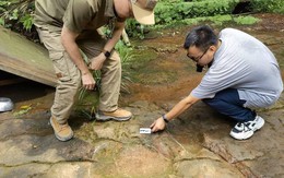 Trung Quốc: Phát hiện dấu chân khủng long tại một nhà hàng ở Tứ Xuyên