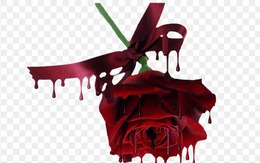 Sự "lãng mạn tàn nhẫn" của kẻ cuồng yêu khi trang trí 99 bông hồng bên thi thể người tình