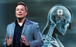 Elon Musk đã "copy" thành công não của chính mình