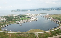 Cái 'bắt tay' kín tiếng của hai đại gia địa ốc ở Tuần Châu