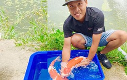 Chàng trai 9X Hải Phòng bỏ việc lương cao để nuôi cá Koi, kiếm tiền tỷ