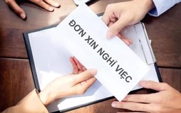 Hai phó giám đốc 2 sở ở Đồng Nai làm đơn xin nghỉ việc