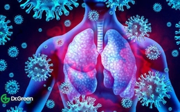 Cảnh báo tình trạng ‘siêu nhiễm trùng’ ở bệnh nhân COVID-19