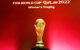 Chưa Đài truyền hình nào tại Việt Nam sở hữu bản quyền World Cup 2022