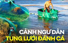 Hình ảnh ngư dân tung lưới đánh cá đầy "ảo diệu" ở Bình Định khiến ai cũng trầm trồ về cảnh sắc Việt Nam