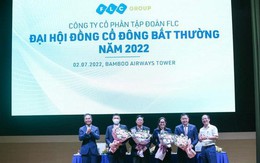 Tân thành viên HĐQT FLC Lê Thái Sâm là ai?