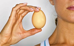 Ăn trọn vẹn một quả trứng có lợi cho sức khỏe như thế nào?